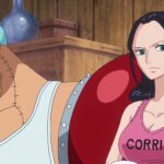 This Small Detail Shows How Much Franky Cares About Robin