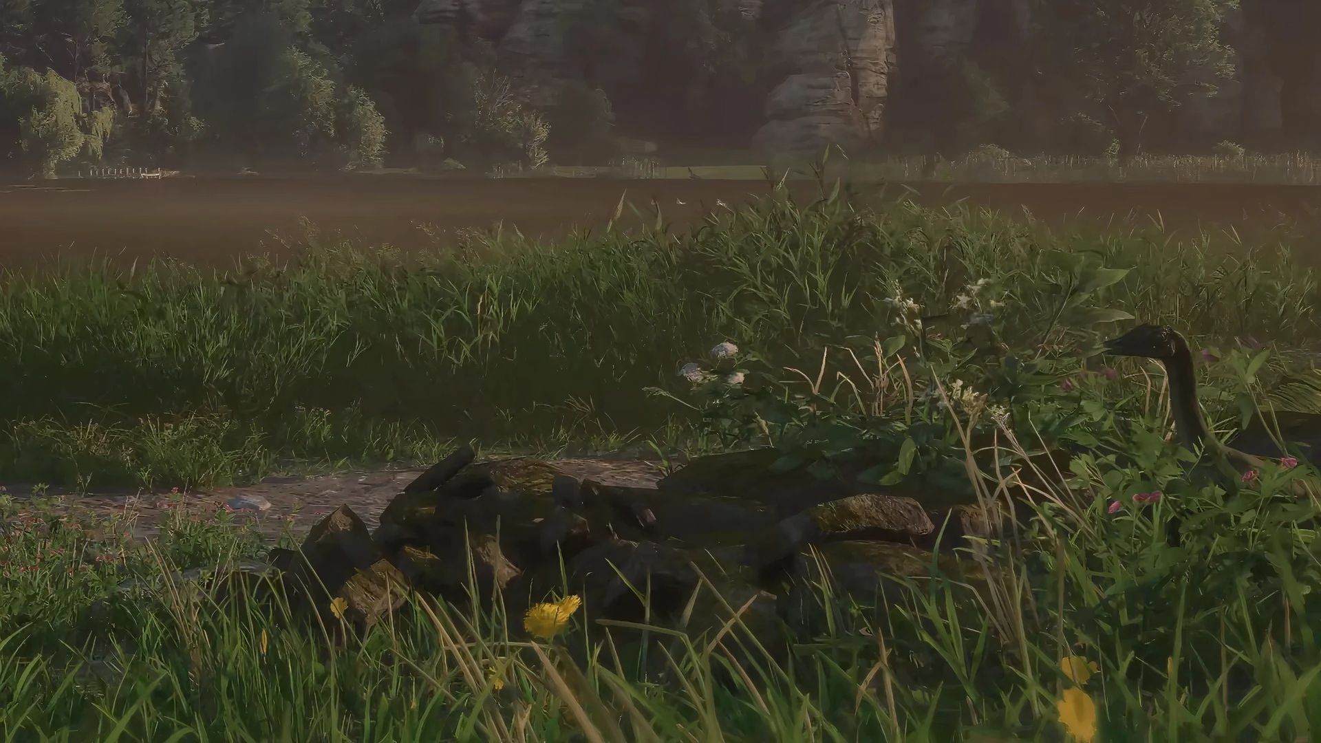 Dinosaurs in Kingdom Come: Deliverance 2.