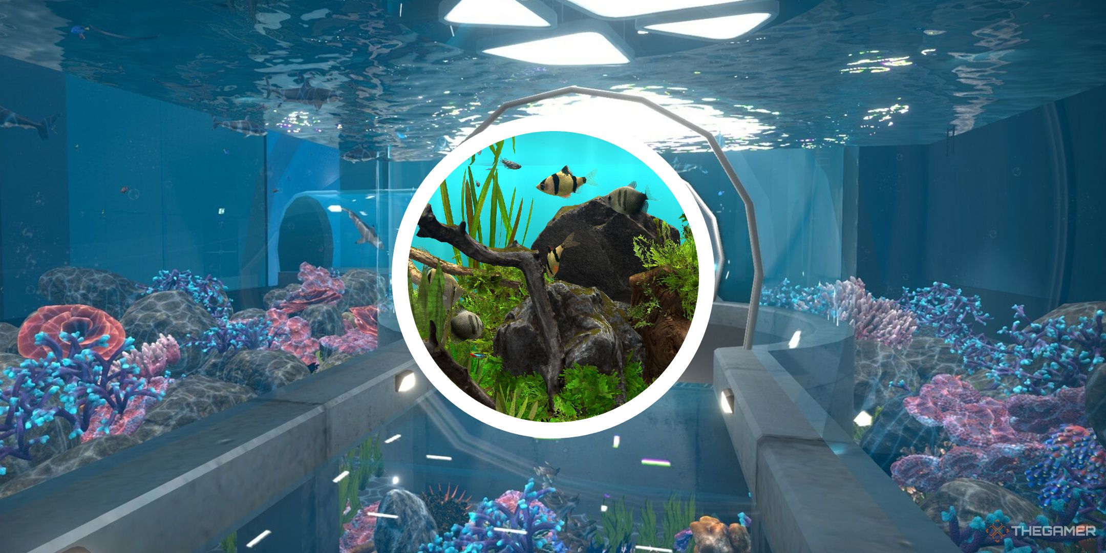 aquarist screenshot with circle png of Behind Glass Aquarium Simulator fish