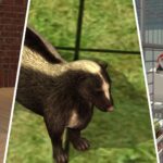 The Best Pet Types In The Sims 2