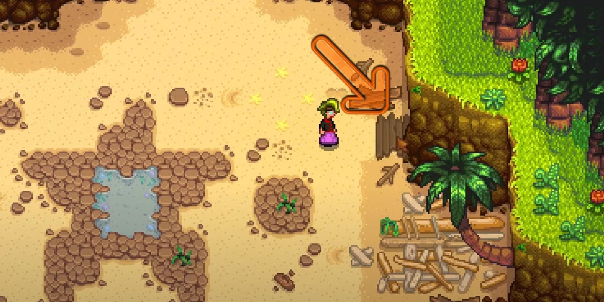 A player standing near entrance to pirate cove in Stardew Valley.