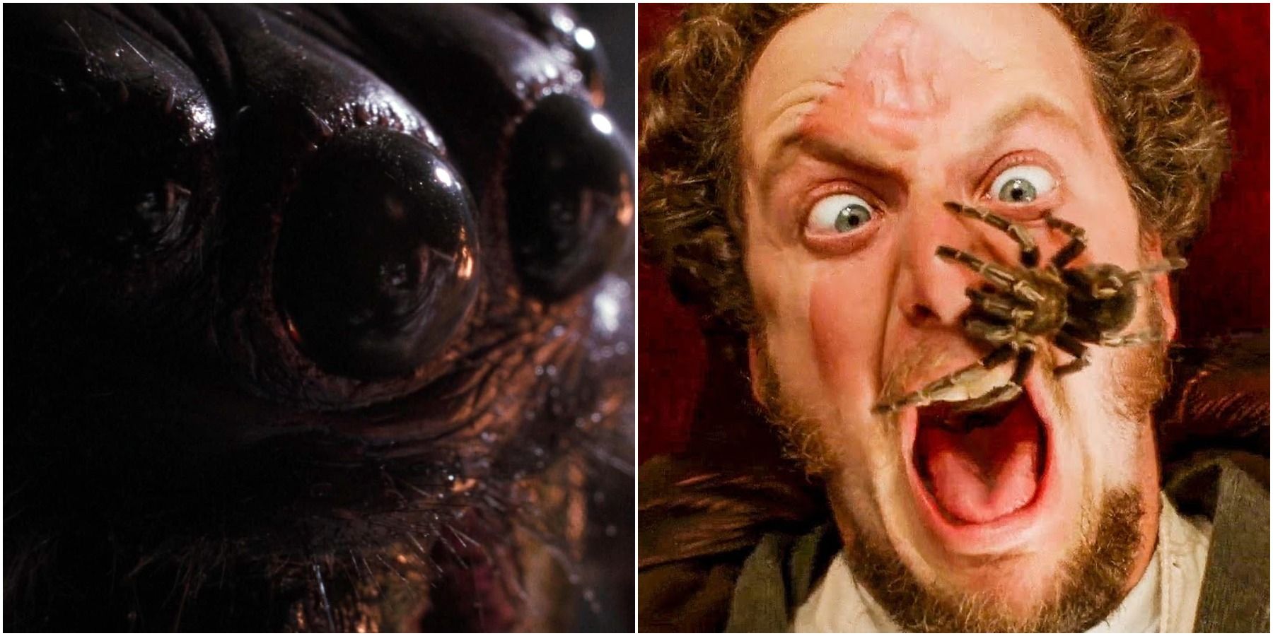 The most terrifying spiders in movies