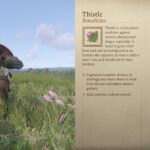 How To Farm Thistle In Kingdom Come: Deliverance 2