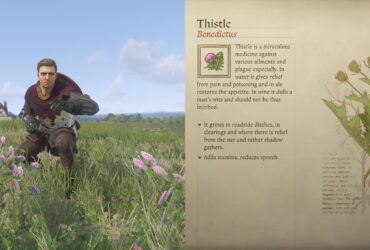 How To Farm Thistle In Kingdom Come: Deliverance 2