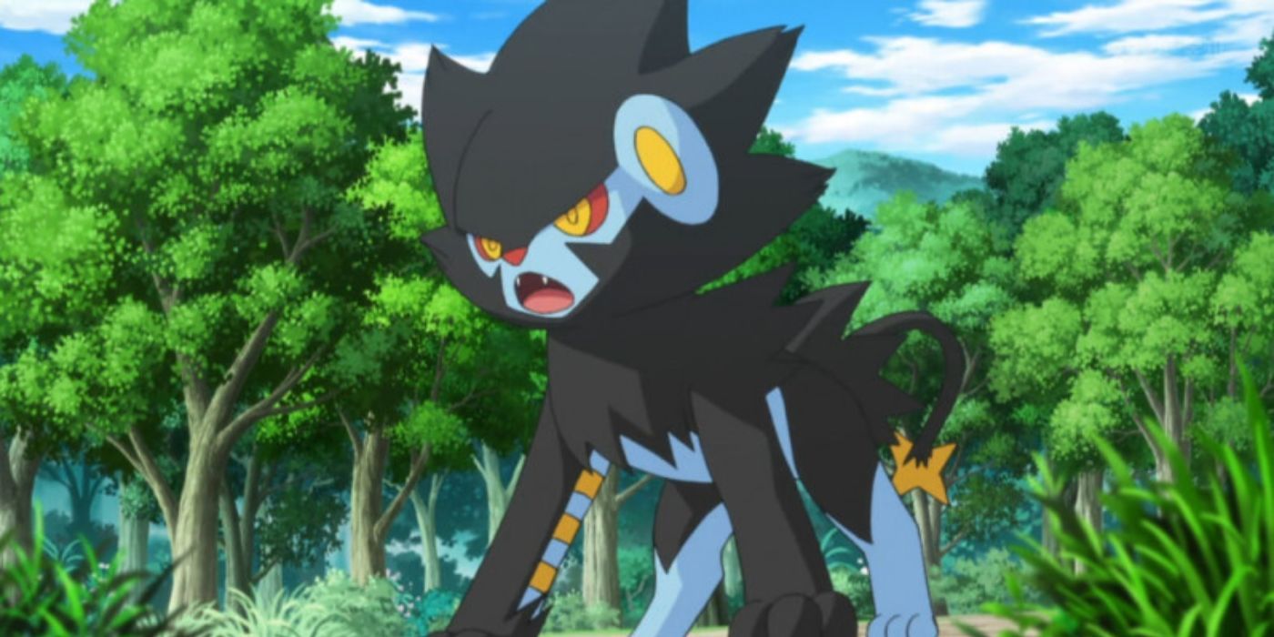 Luxray in Pokemon