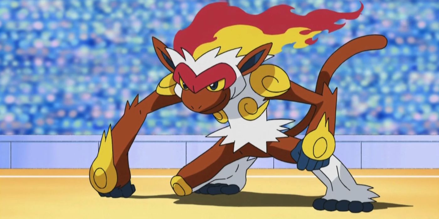 Infernape In The Pokemon Anime