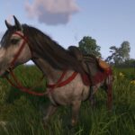 How To Wash Your Horse In Kingdom Come: Deliverance 2