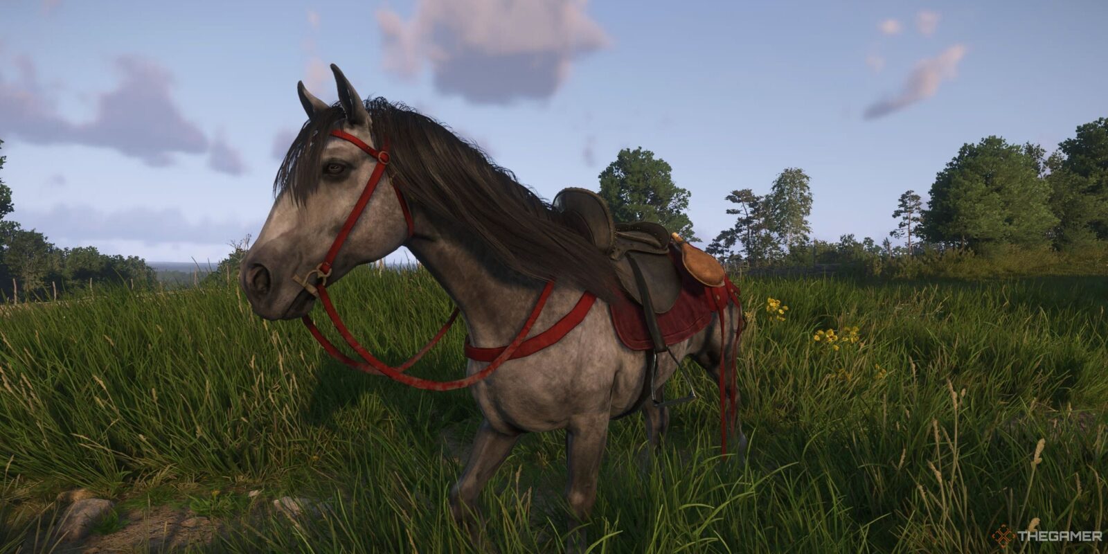 How To Wash Your Horse In Kingdom Come: Deliverance 2