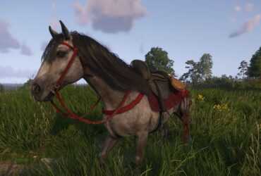 How To Wash Your Horse In Kingdom Come: Deliverance 2