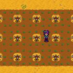 Stardew Valley: Best Sprinkler Layout