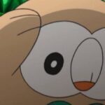 Rowlet looking stressed in the Pokemon anime.