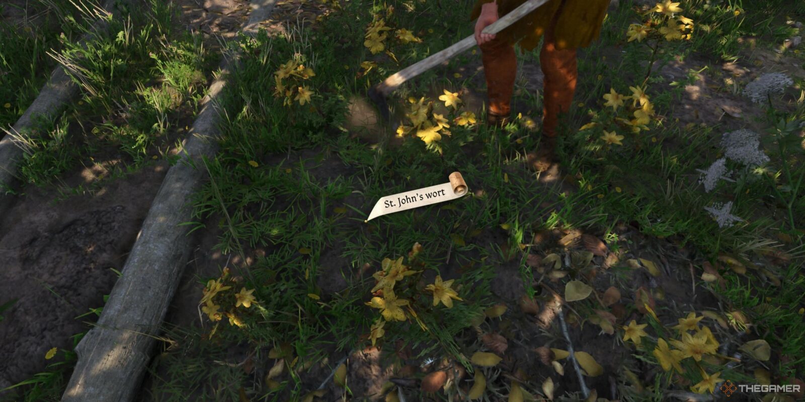 Where To Find St. John's Wort In Kingdom Come: Deliverance 2