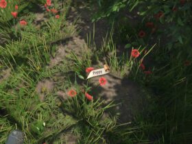 Where To Find Poppy In Kingdom Come: Deliverance 2