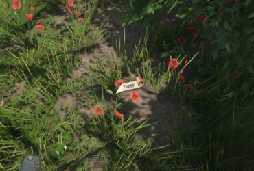 Where To Find Poppy In Kingdom Come: Deliverance 2