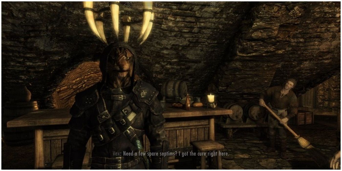 A Khajiit in Thieves Guild armor (1)