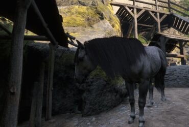 Pebbles Vs. Herring - Which Horse Is Better In Kingdom Come: Deliverance 2?