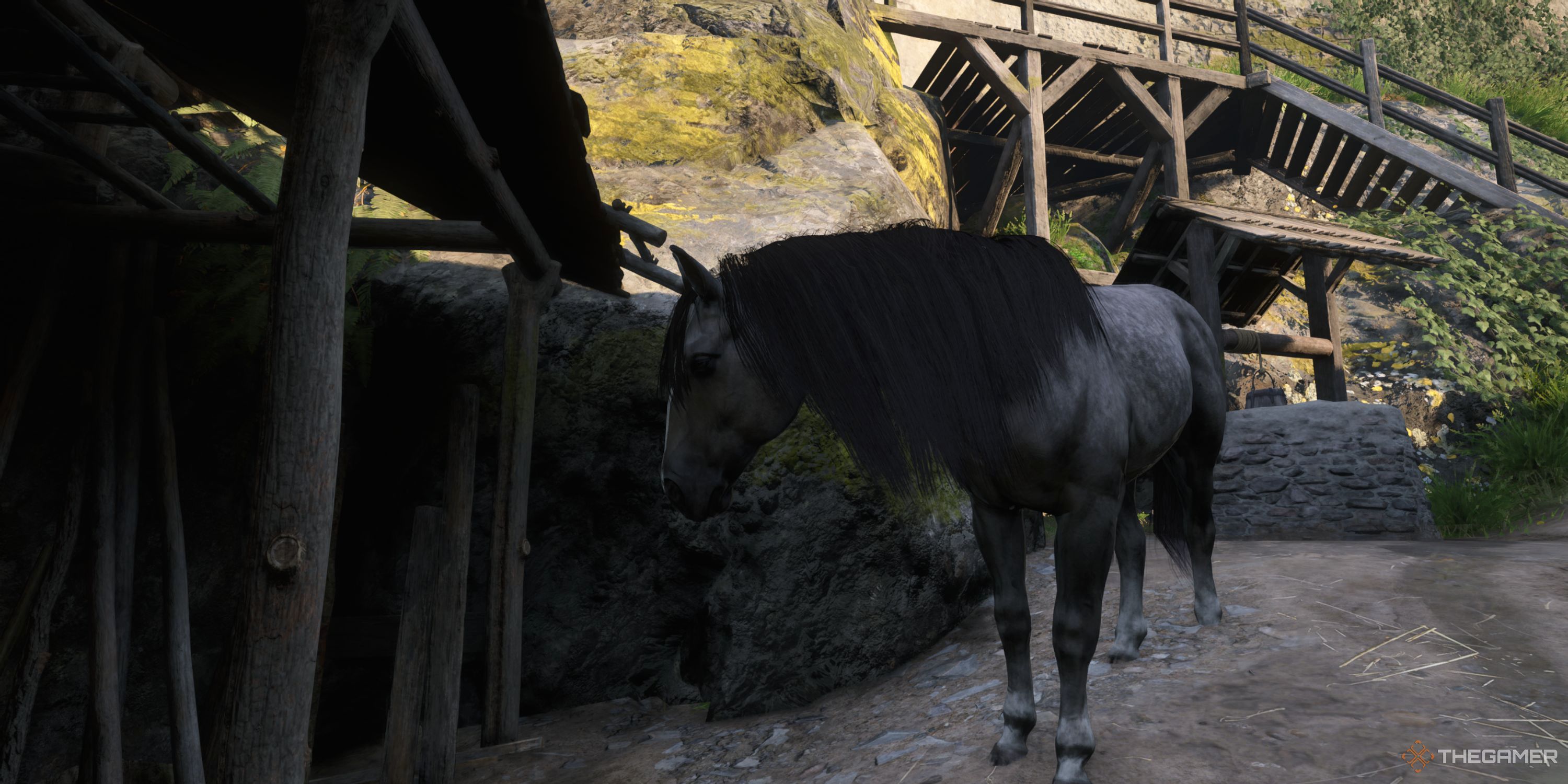 Henry standing in front of his horse, Pebbles. 