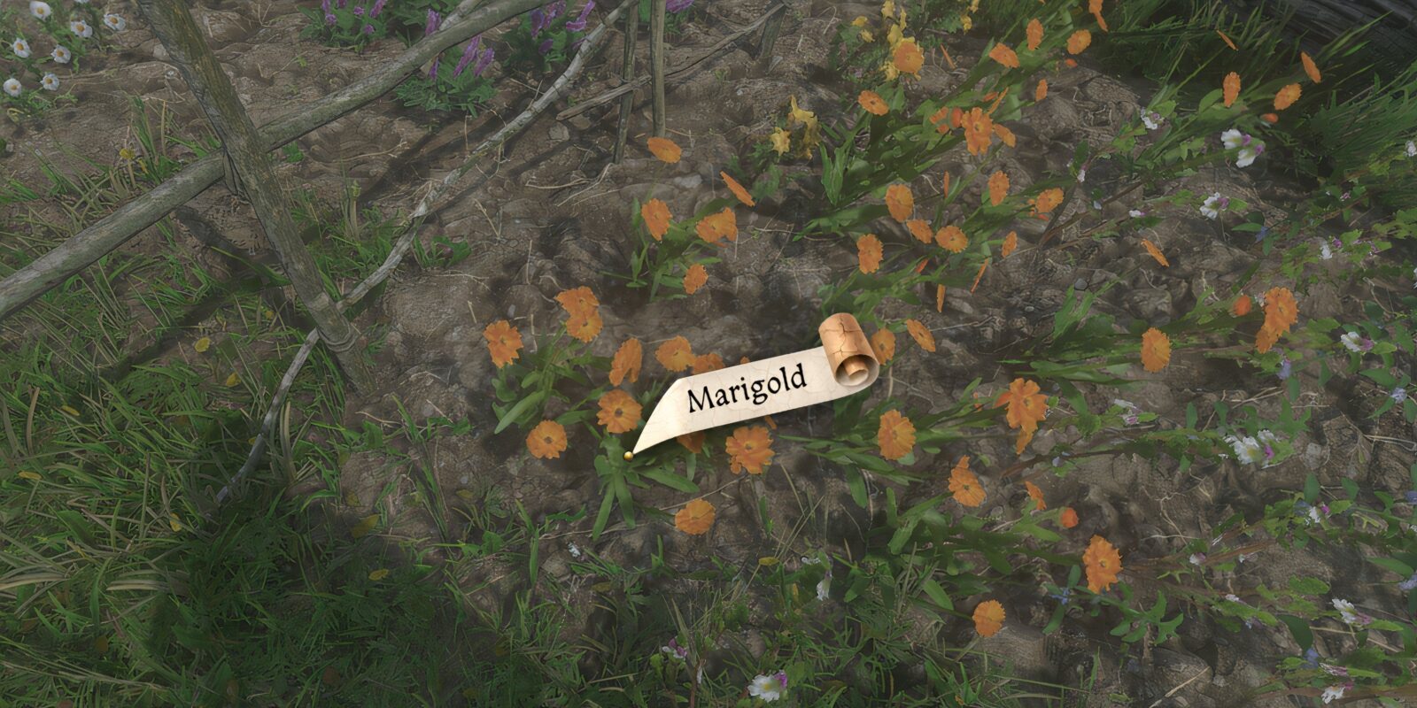 How To Get Marigold Kingdom Come: Deliverance 2