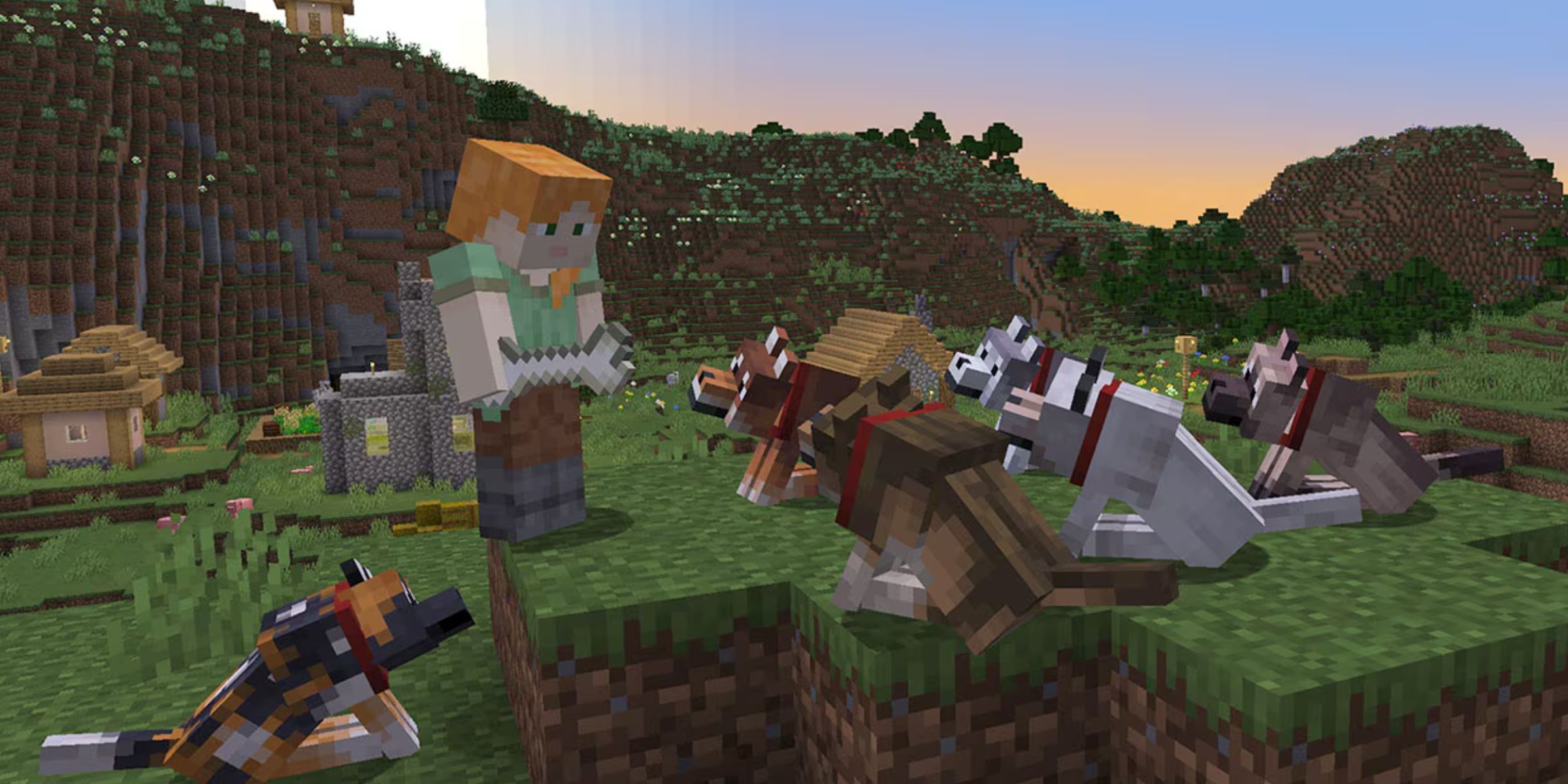 Alex Using A Bone To Tame Some Wolves In A Village In Minecraft.