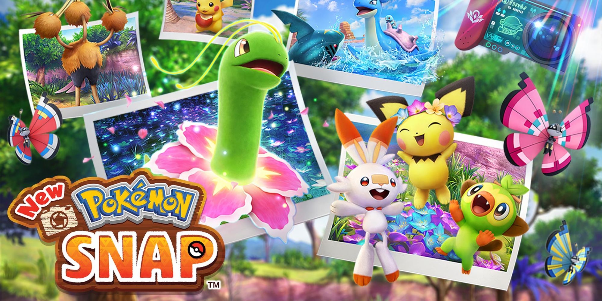 New Pokemon Snap - Pichu, Scorbunny, Grookey, And Meganium Surrounded By Photos.