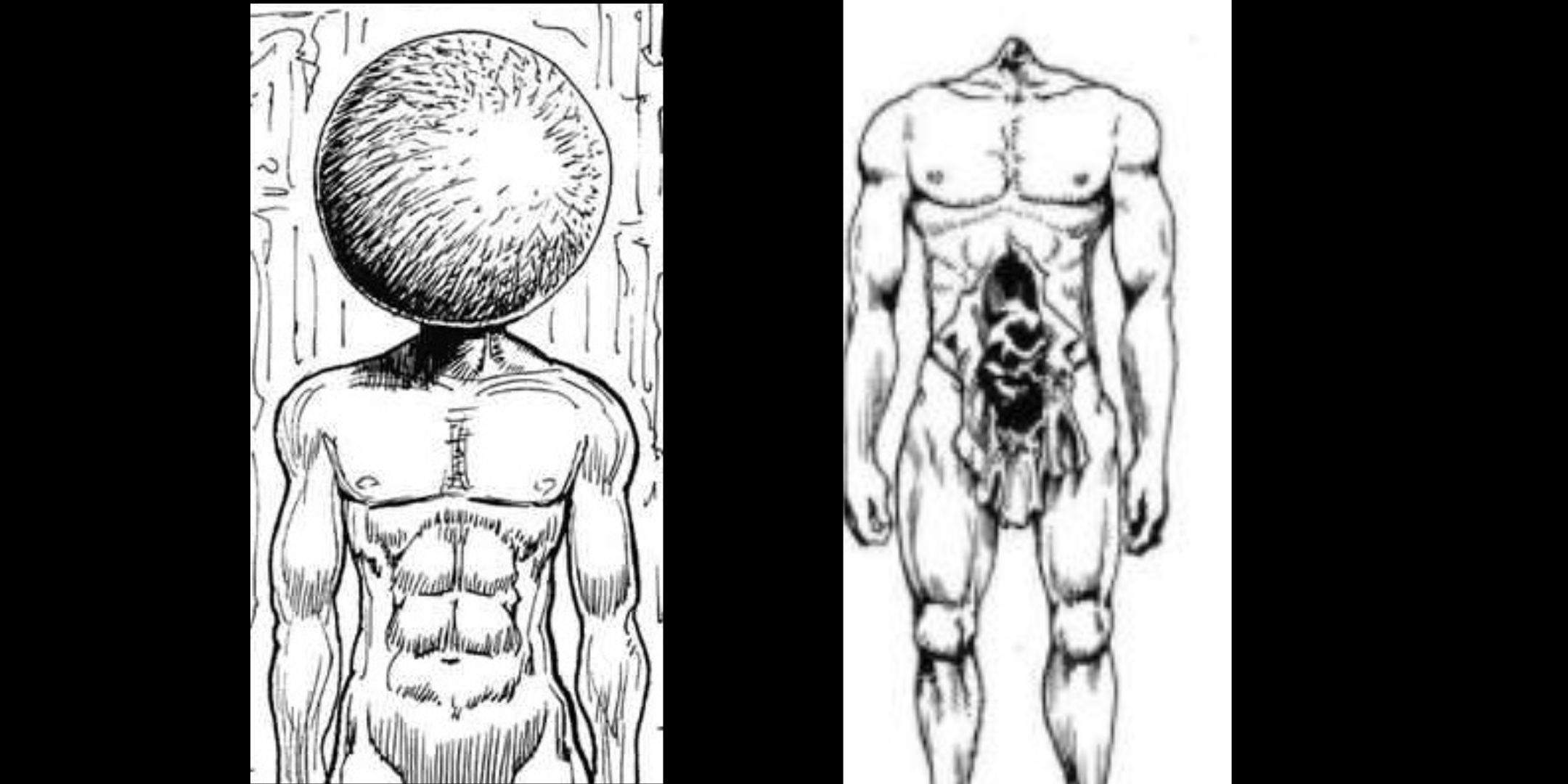 Biron from Hunter x Hunter A plant-based sphere on a humanoid head, as well as a human body with its badomen open.