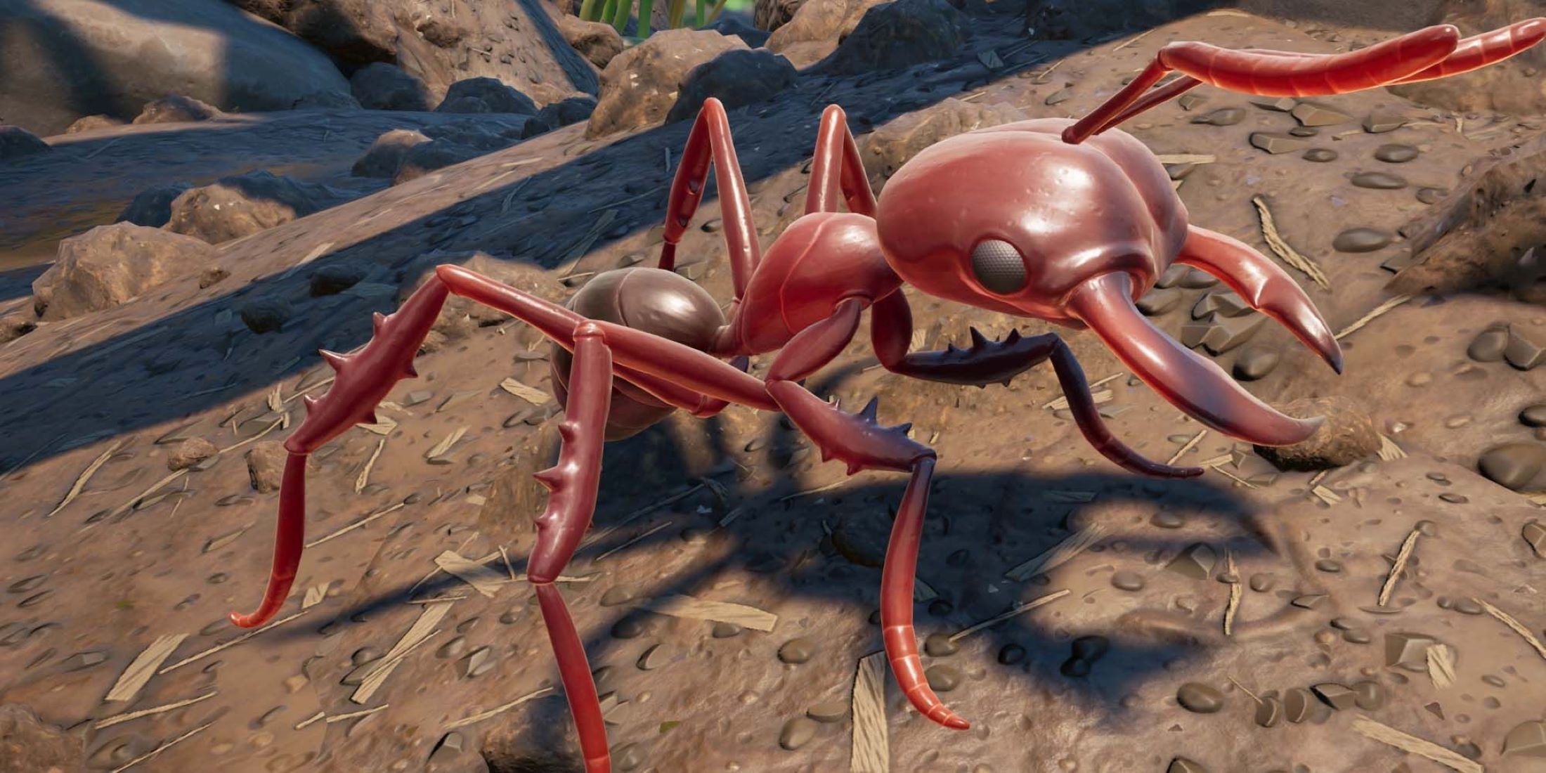 Fire ant soldier walking across dirt