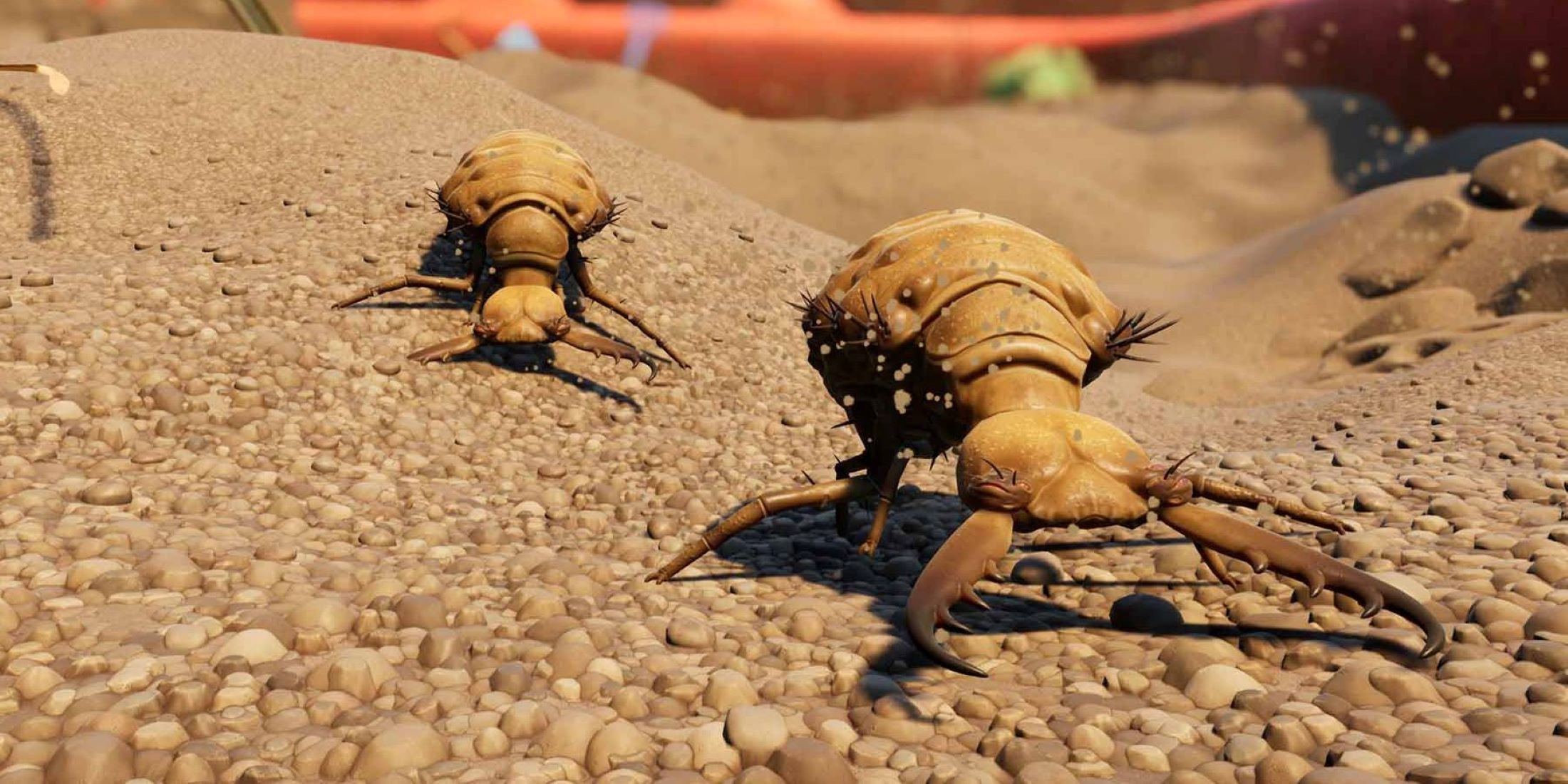 Two antlions travelling across sand