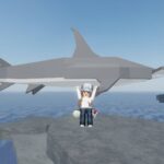 How To Catch Great Hammerhead Shark