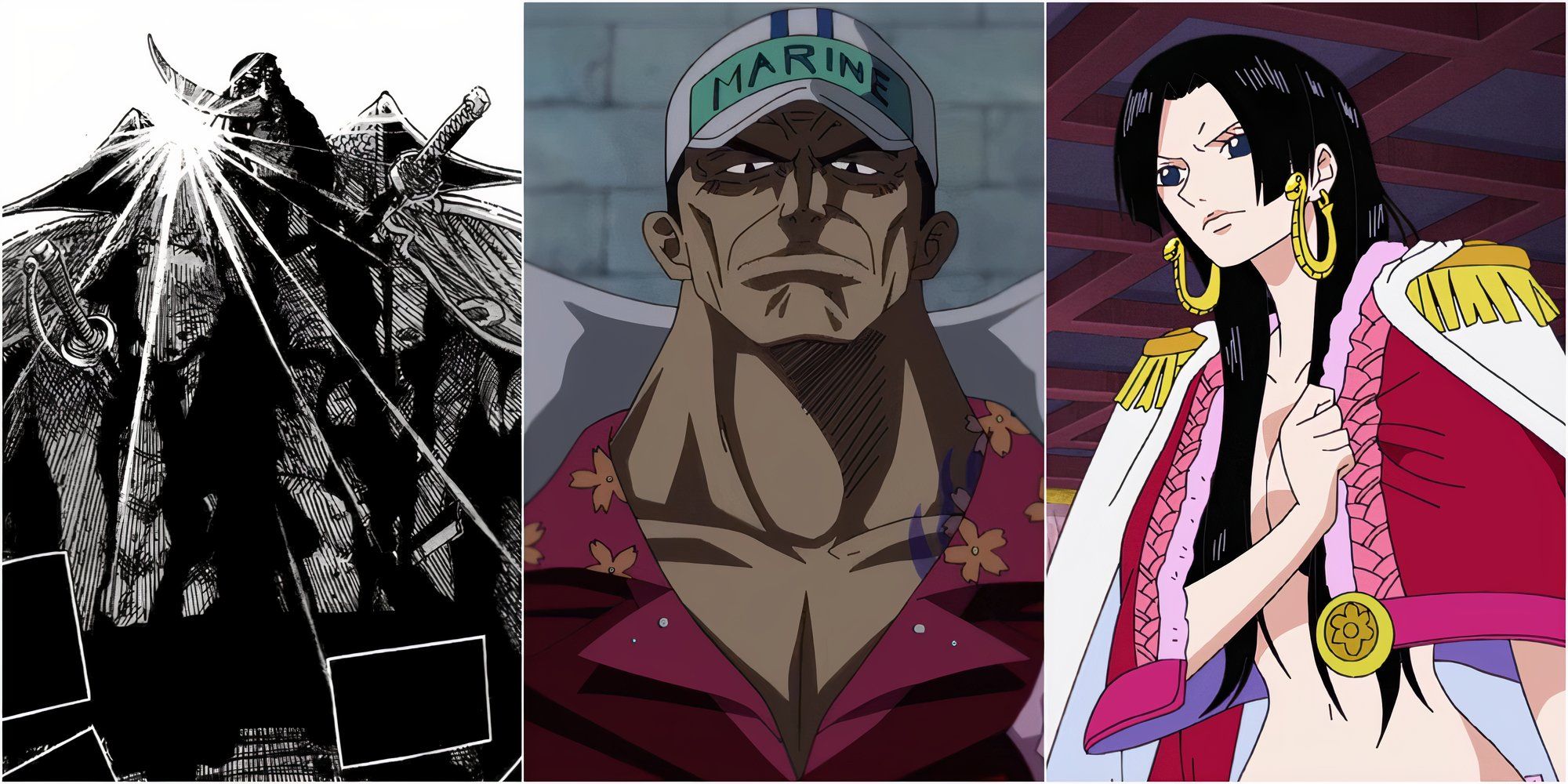 Whitebeard, Akainu, Boa Hancock