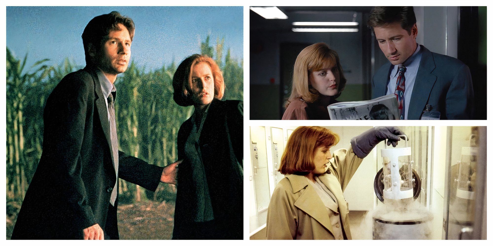 Left: Mulder and Scully in a corn field. Top-Right: Scully and Mulder reading a newspaper. Bottom-right: Scully pulling out an alien tissue sample from a cryo chamber.