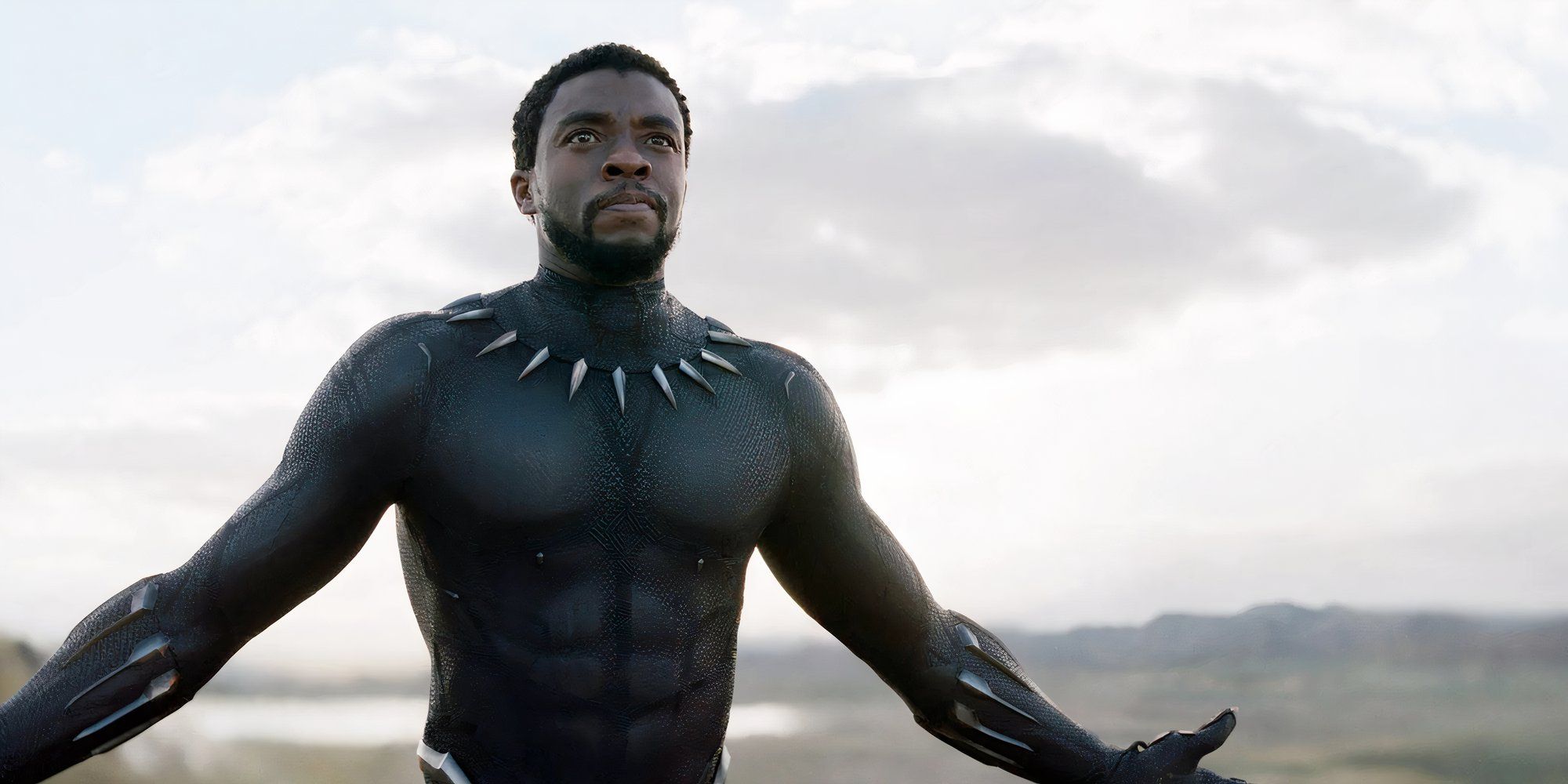 Black Panther in Black Panther