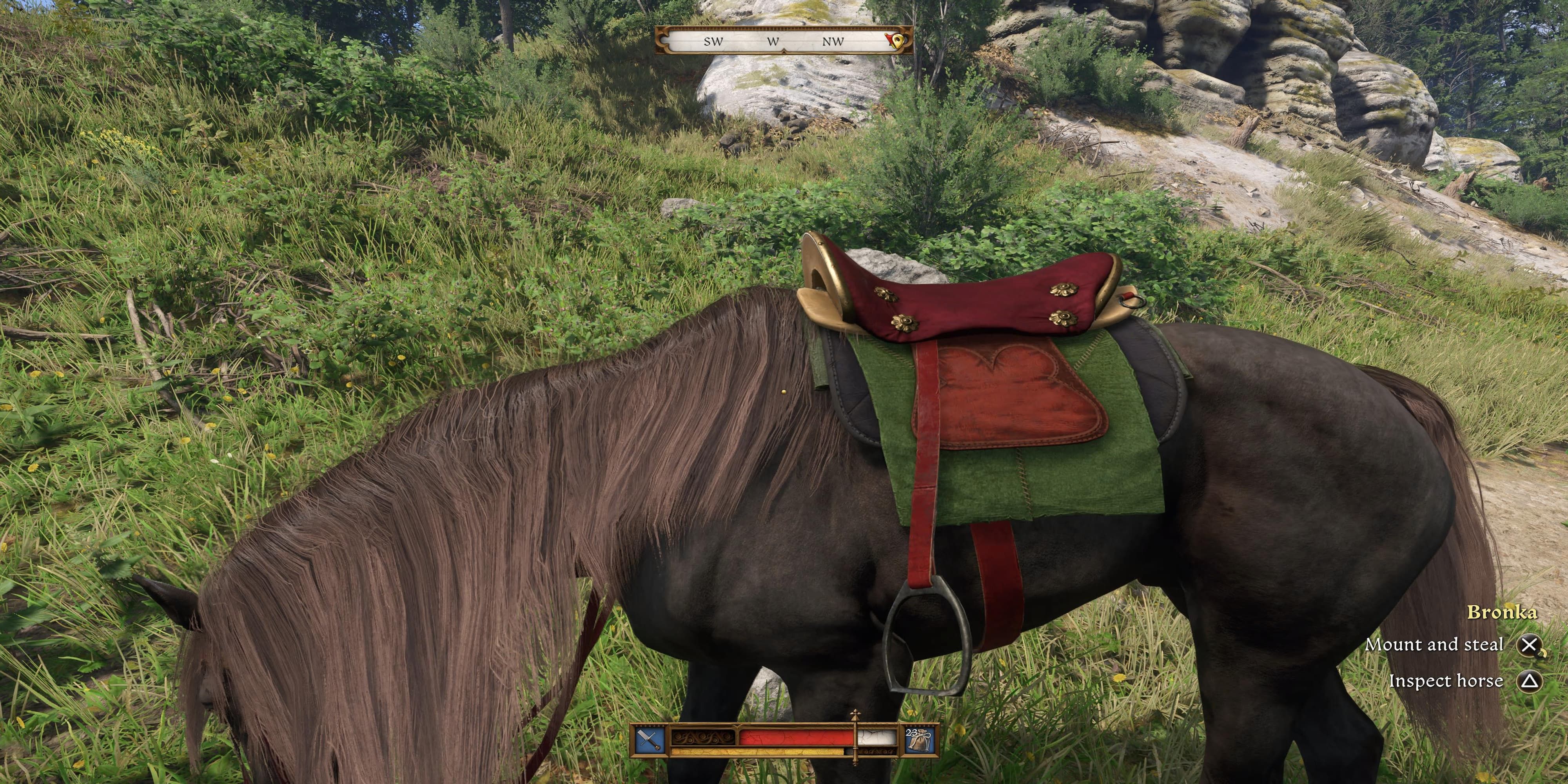 The Player About To Mount A Stolen Horse