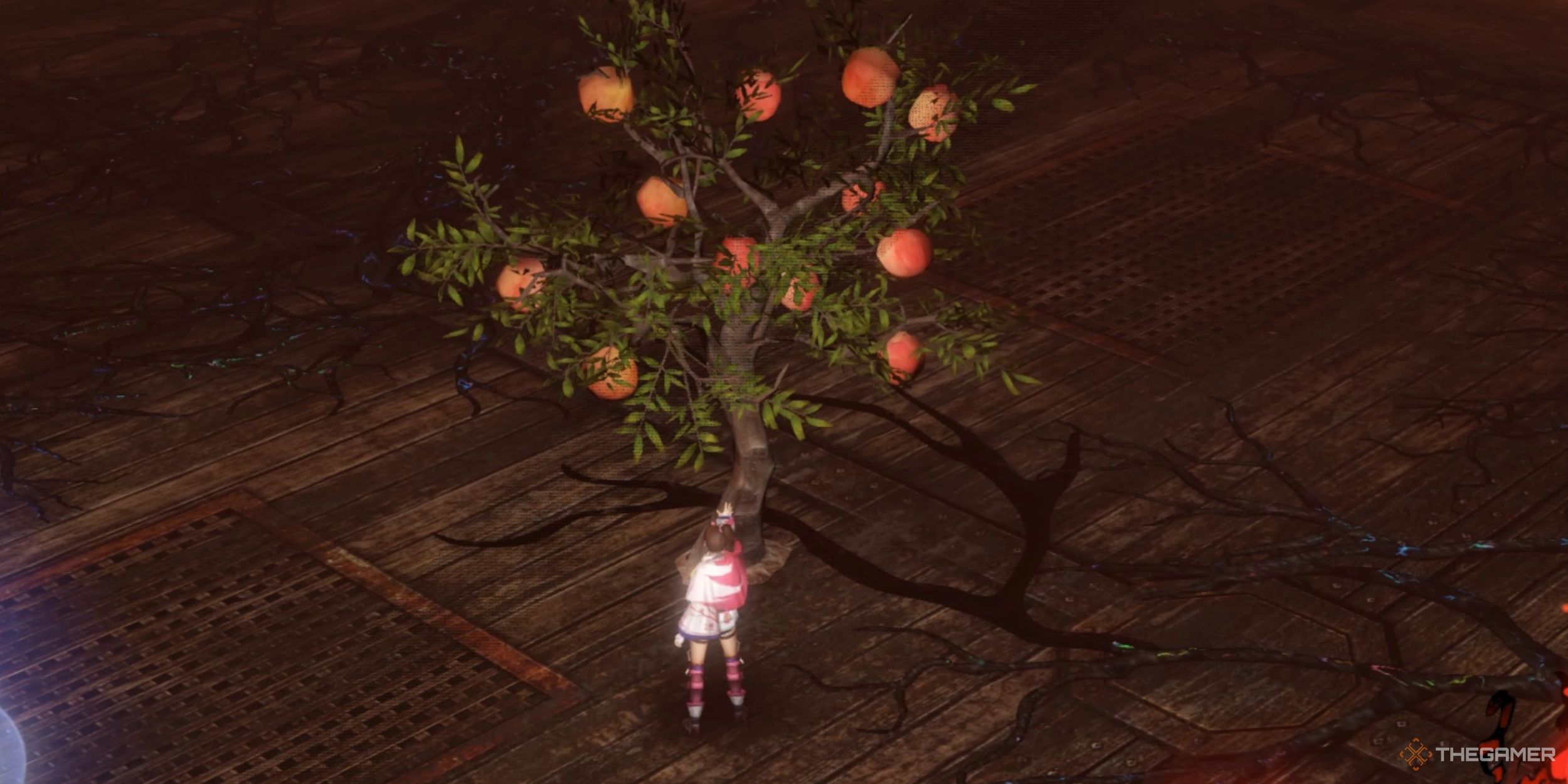 Kunoichi reaching for a Peach from the Peach Tree to increase her Max Health in Warriors: Abyss.