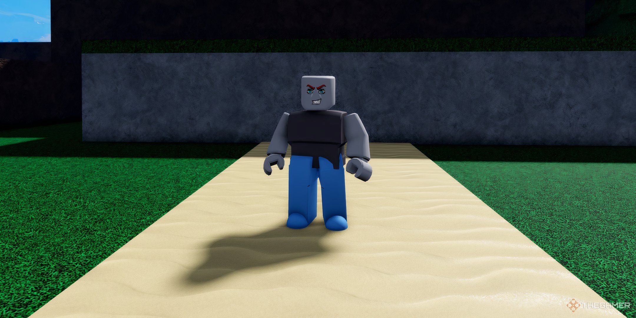 a player in Verse Piece on Roblox