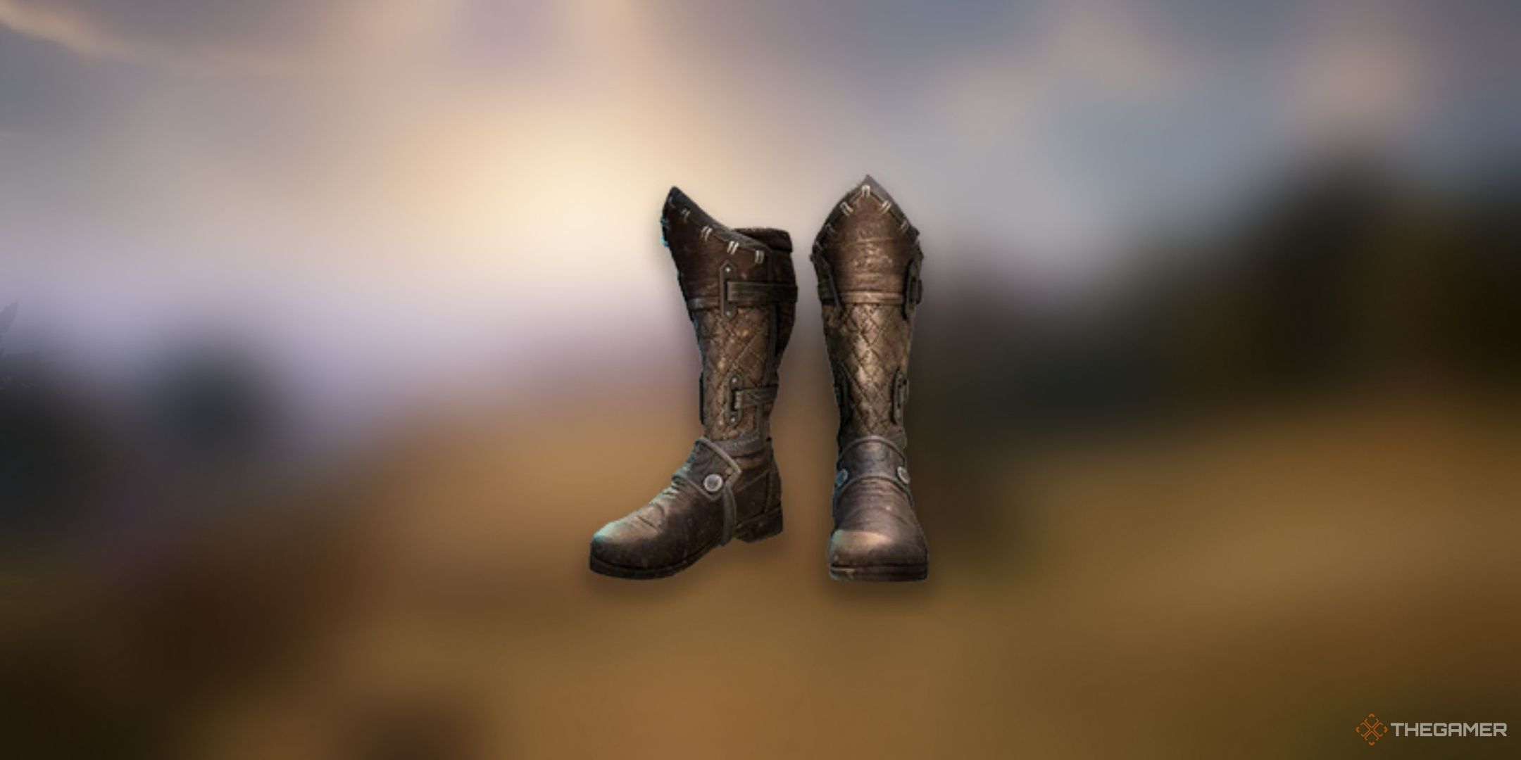 Avowed, Windwalker Boots item image over a blurred background of Paradis.