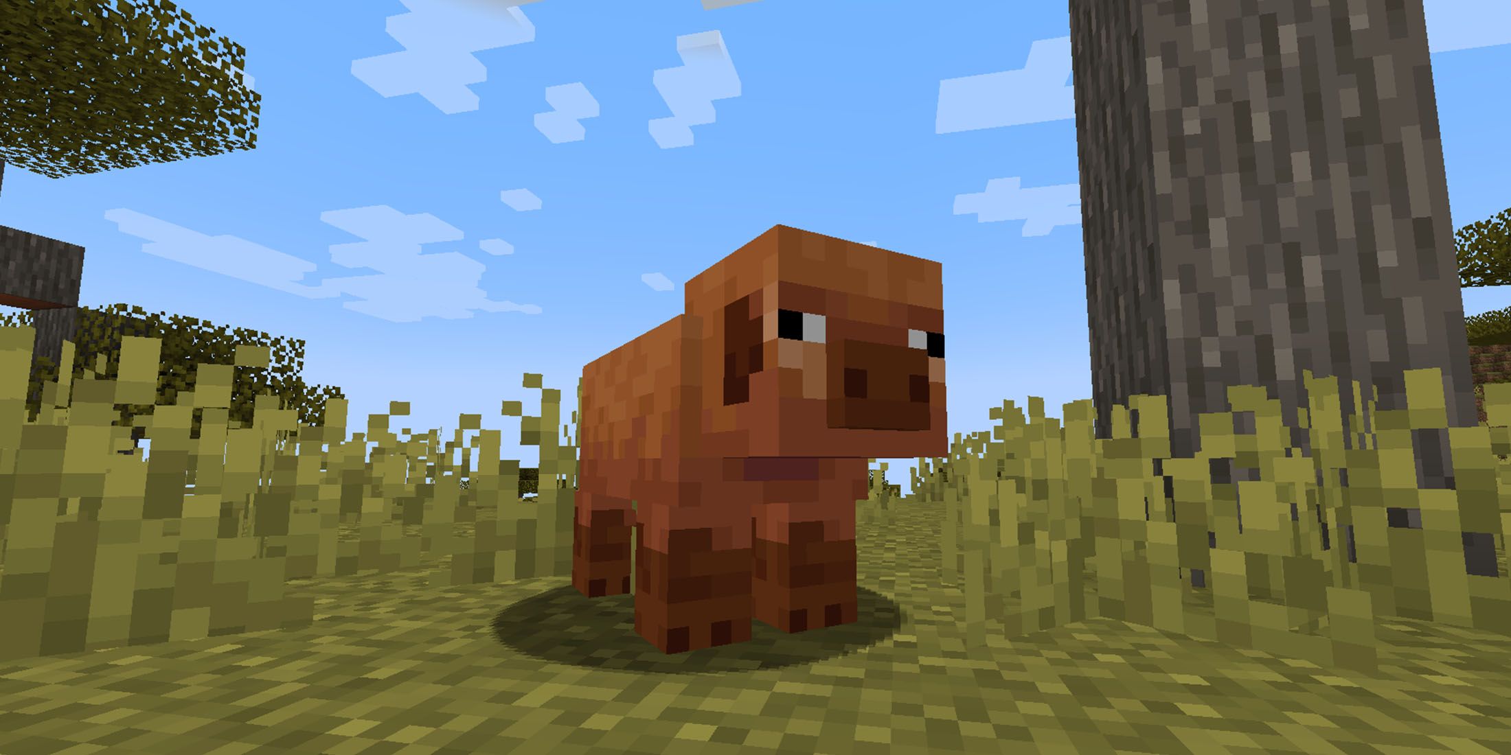 Minecraft Warm Pig