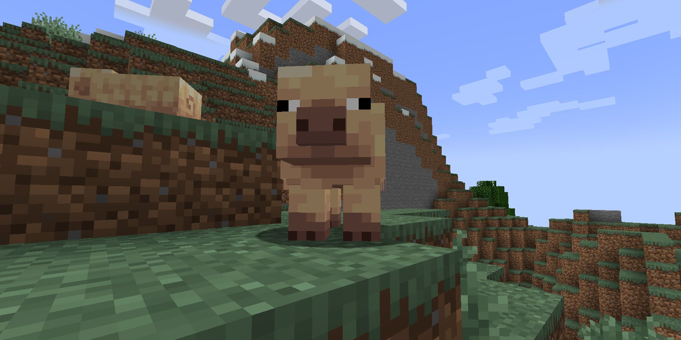 Minecraft Cold Pig