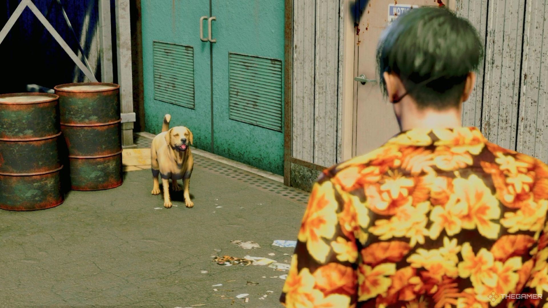 Like A Dragon Pirate Yakuza in Hawaii. Majima cornering a stray dog.