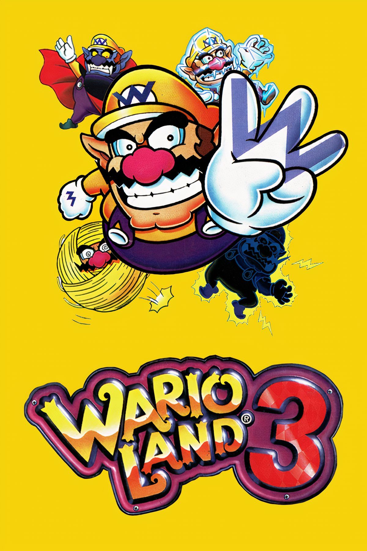 Wario Land 3 Tag Page Cover Art