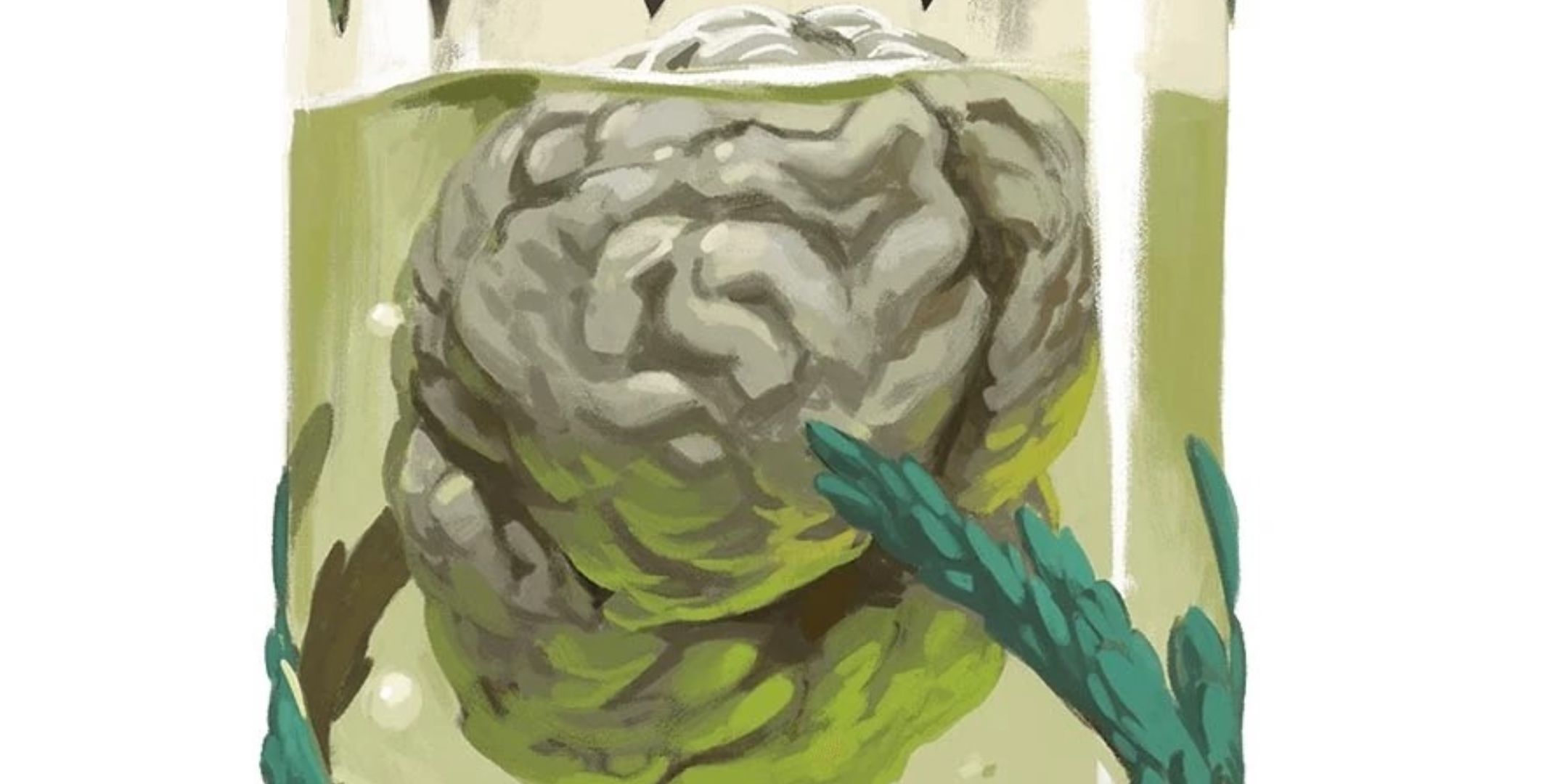 D&D: a closeup of a large brain in a glass jar surrounded by greenish liquid.