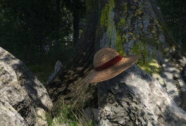 Where to Find Luffy's Hat in Kingdom Come Deliverance 2