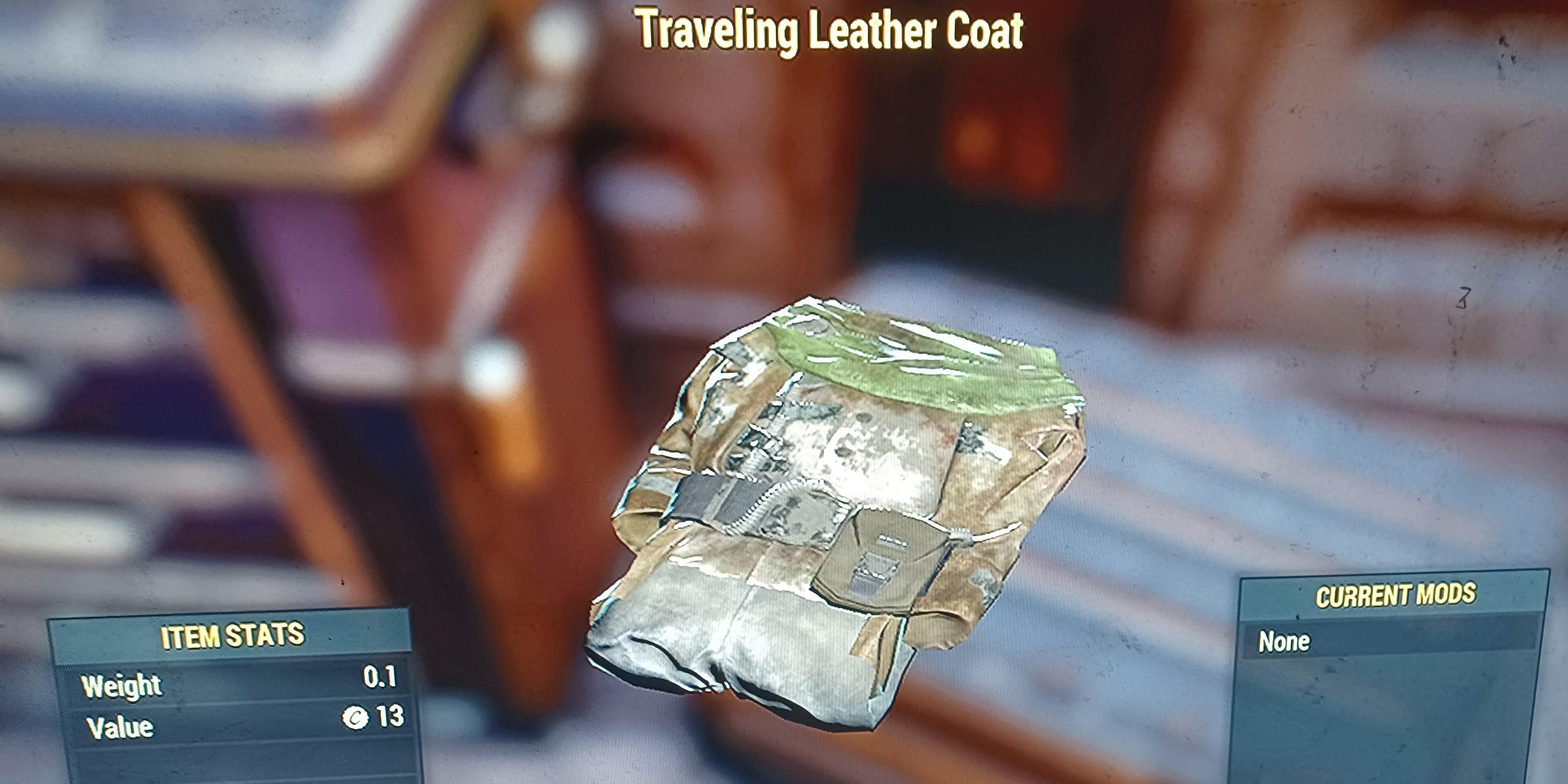 Traveling Leather Coat