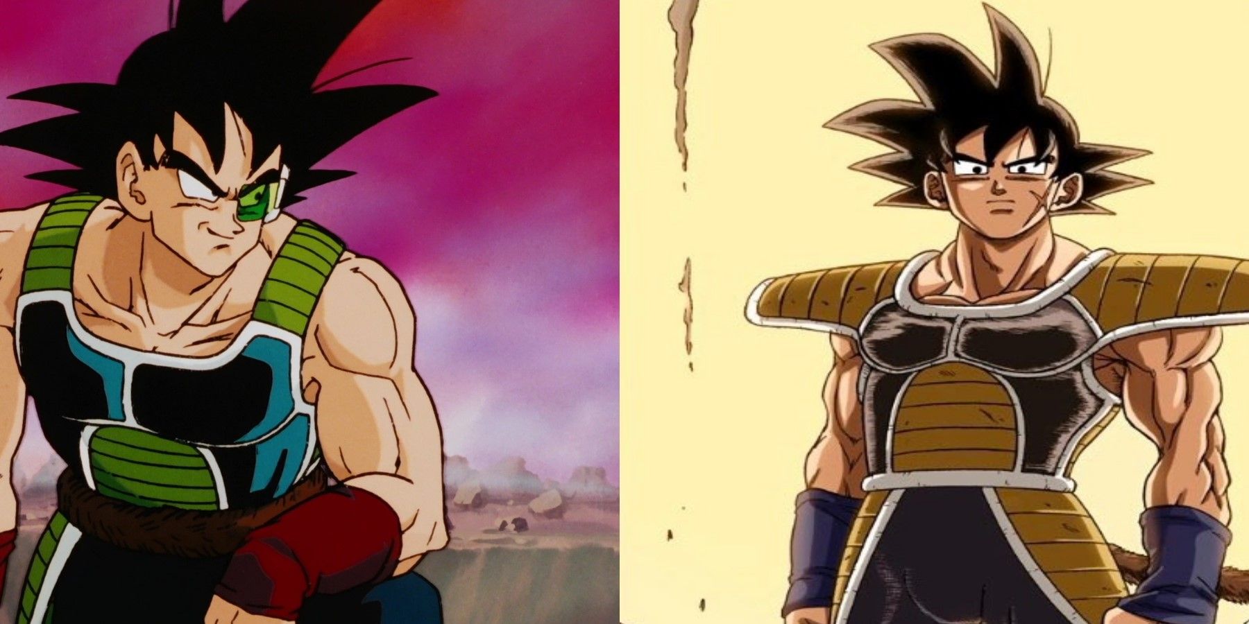 Bardock Dragon Ball Z and Dragon Ball Super