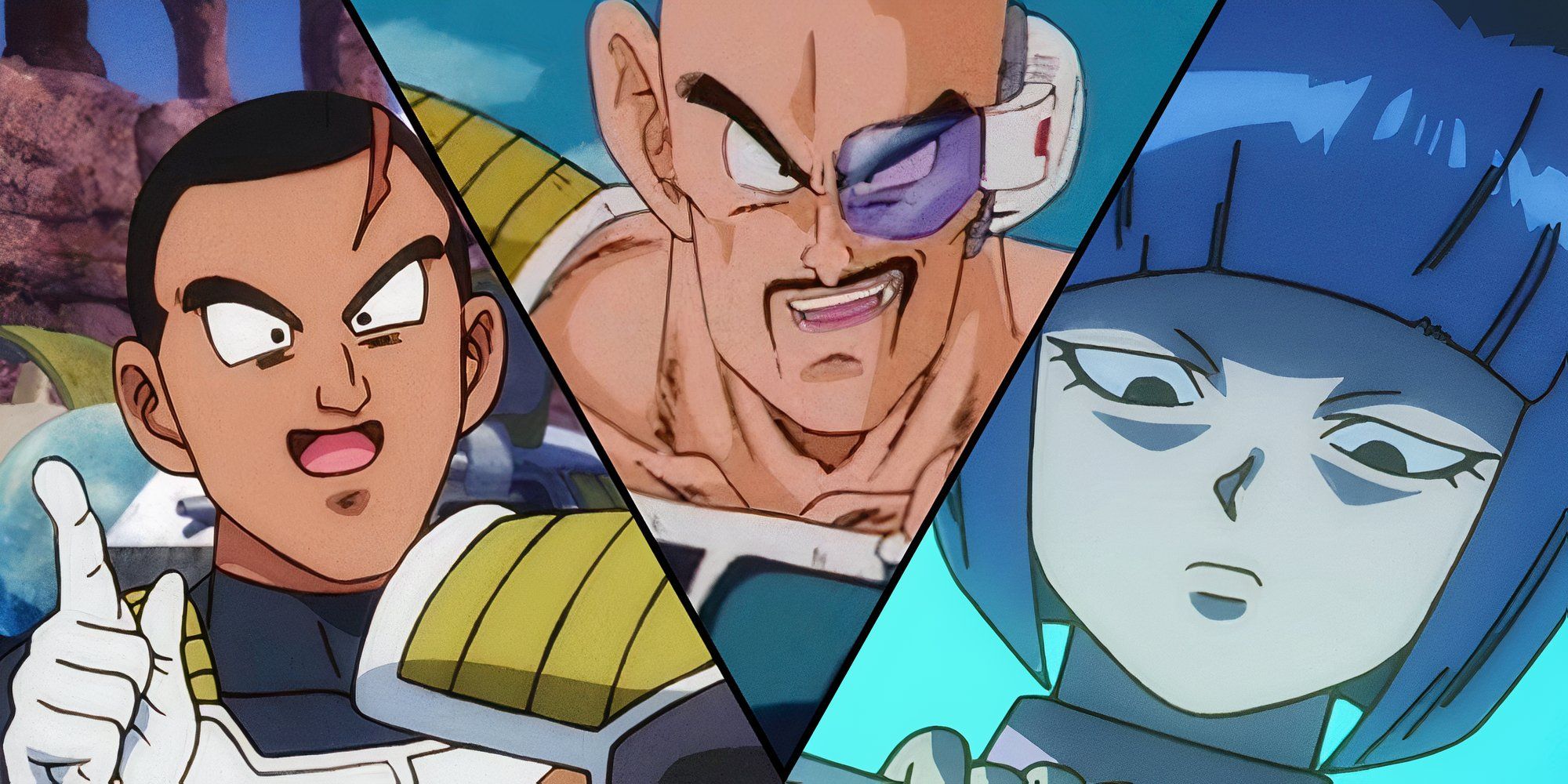 Leek, Nappa and Nion