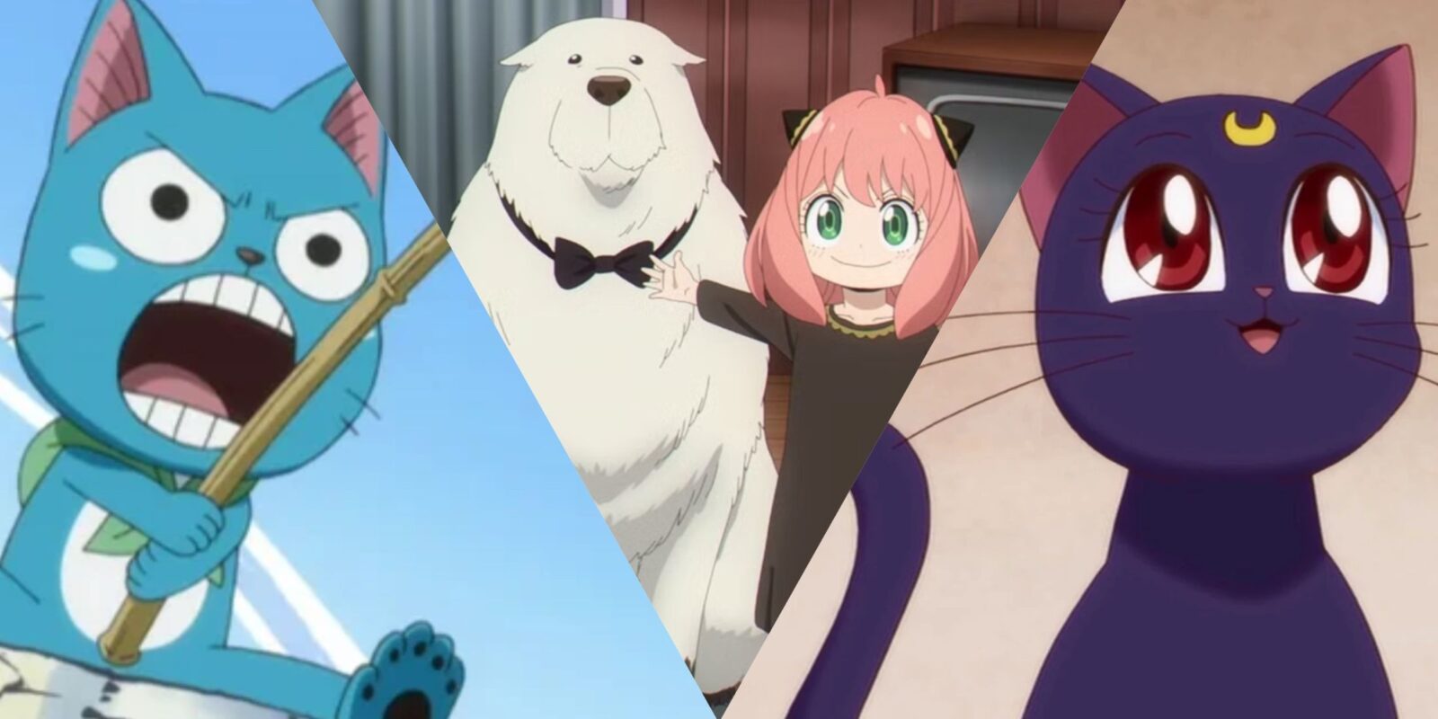 Best Animal Sidekicks In Anime