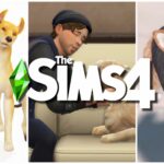 Best Mods For Dogs For The Sims 4