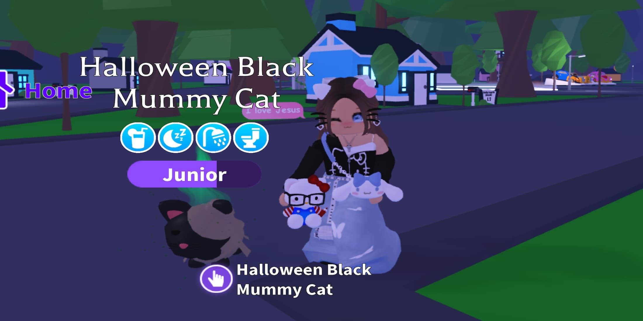Adopt-Me-Mummy-Cat