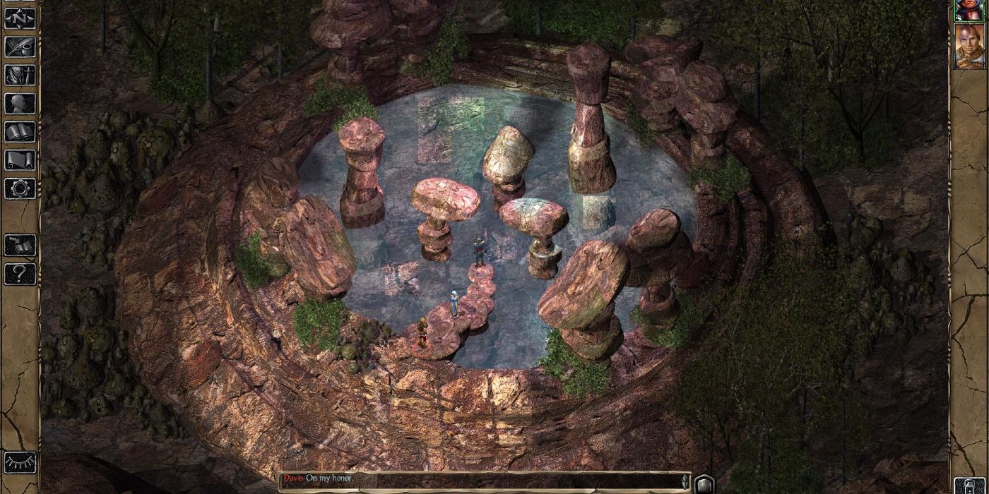 A screenshot from Baldur's Gate 2: Enhanced Edition, in which the protagonist stands in the Mysterious Oasis.