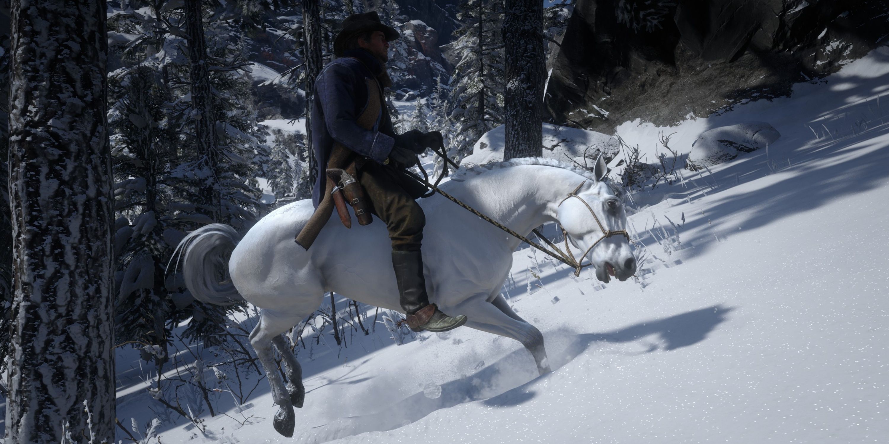 trying to break the white arabian horse