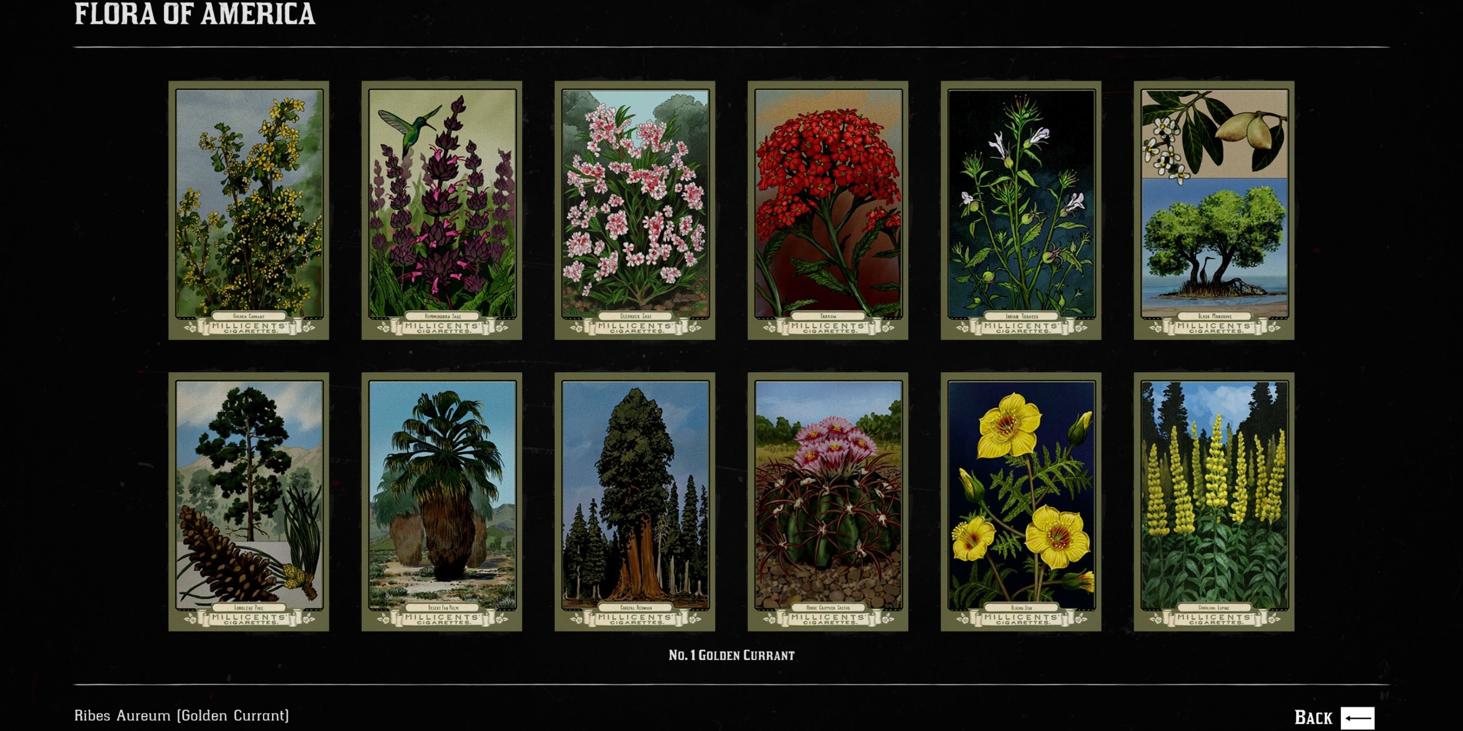 flora of america cigarette card set